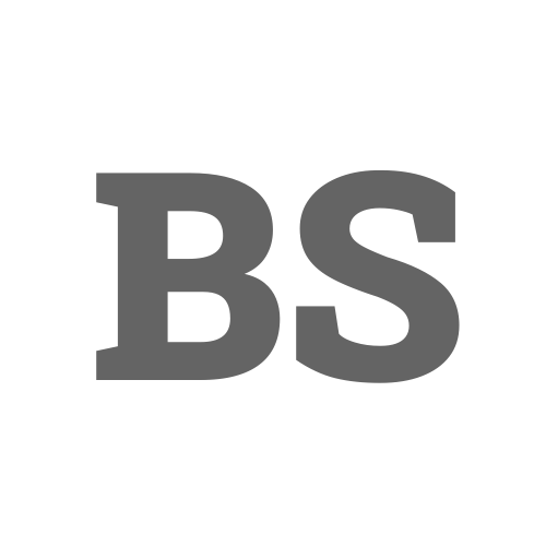 Logo: Business Solution - Dit Personlige Webbureau